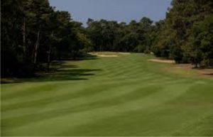 Golf d'Hossegor with Greens & Grapes