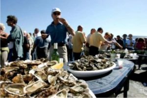 Oyster and wine festival
